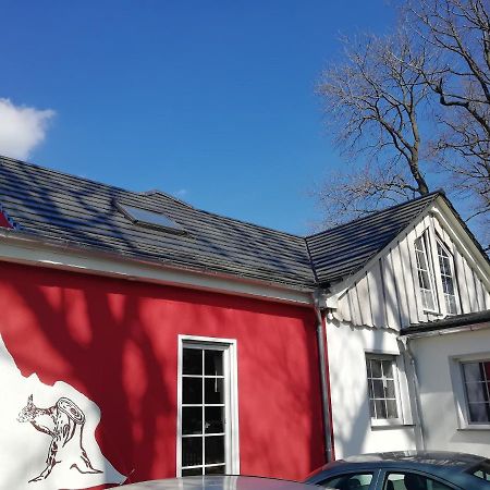 Kleines Studio Im Eichenwaeldchen, 1 Zimmer Kueche Bad Friedrichsgrun Екстериор снимка