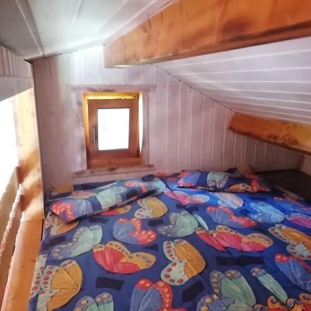 Kleines Studio Im Eichenwaeldchen, 1 Zimmer Kueche Bad Friedrichsgrun Екстериор снимка
