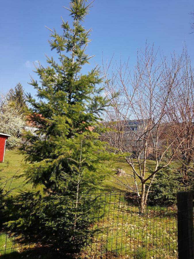 Kleines Studio Im Eichenwaeldchen, 1 Zimmer Kueche Bad Friedrichsgrun Екстериор снимка