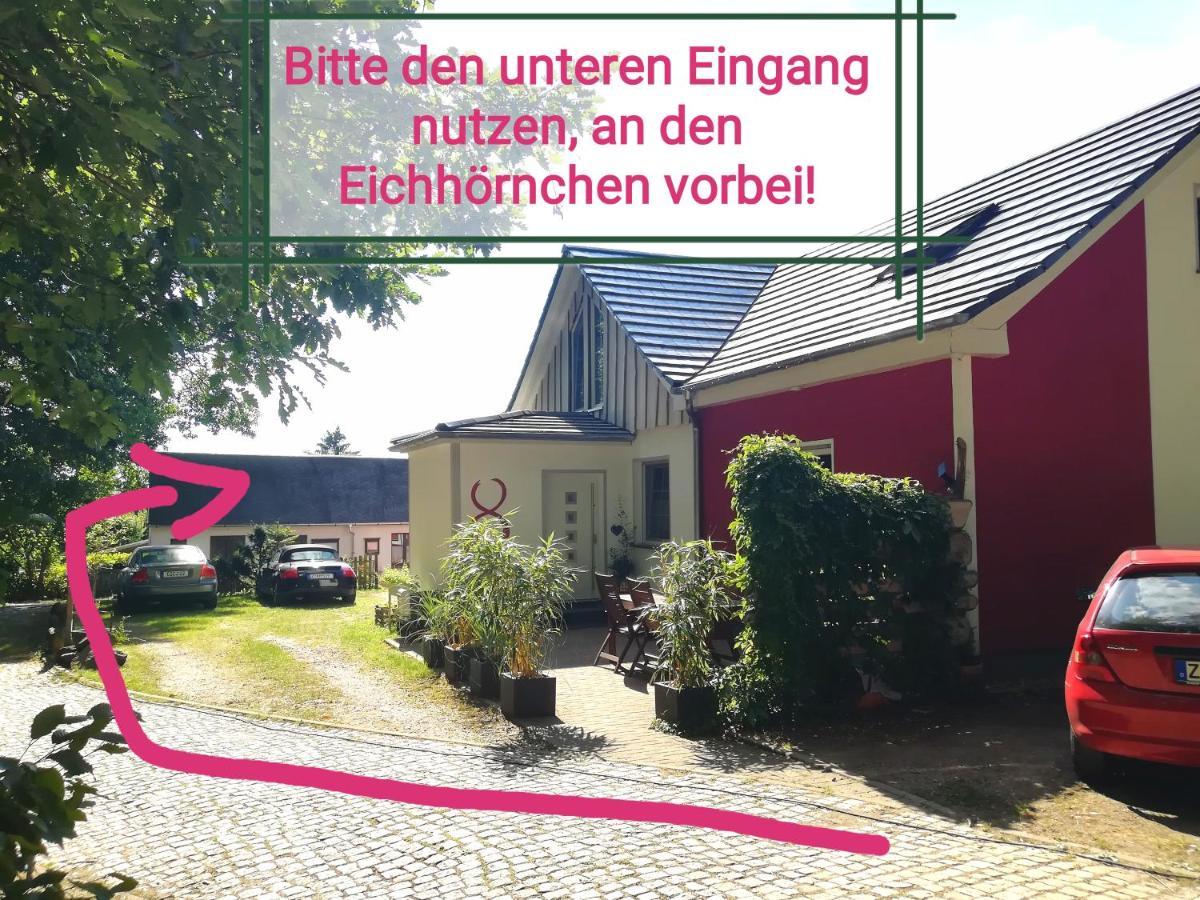 Kleines Studio Im Eichenwaeldchen, 1 Zimmer Kueche Bad Friedrichsgrun Екстериор снимка