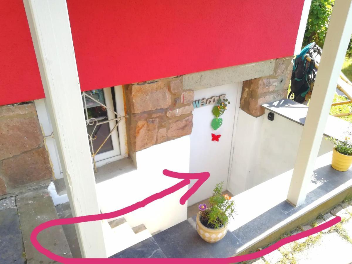Kleines Studio Im Eichenwaeldchen, 1 Zimmer Kueche Bad Friedrichsgrun Екстериор снимка
