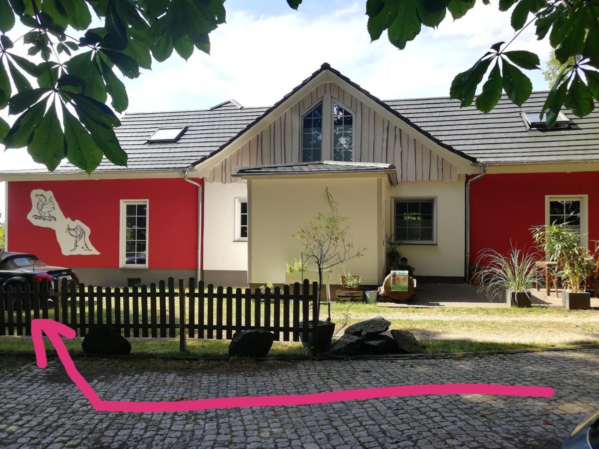 Kleines Studio Im Eichenwaeldchen, 1 Zimmer Kueche Bad Friedrichsgrun Екстериор снимка